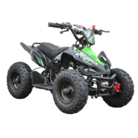 MW 49cc Sports Buggy Quad Bike - Image 2